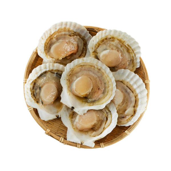 北海道産 帆立片貝 6枚
