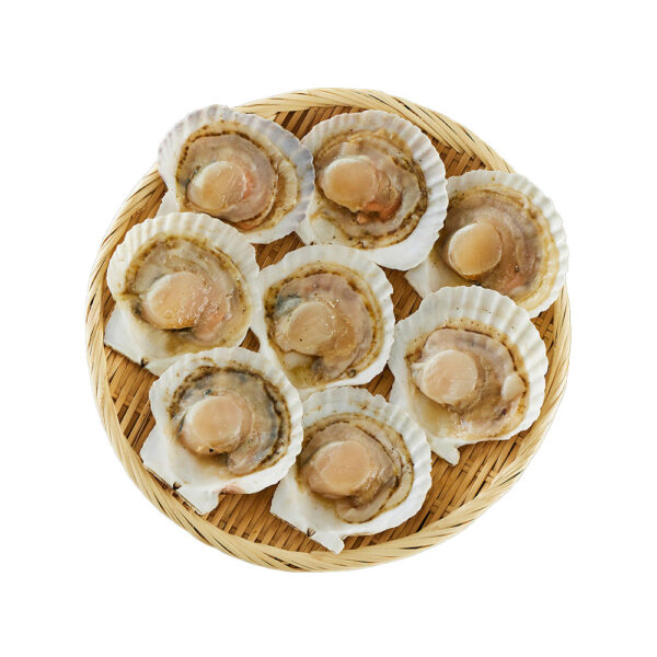 北海道産 帆立片貝 8枚