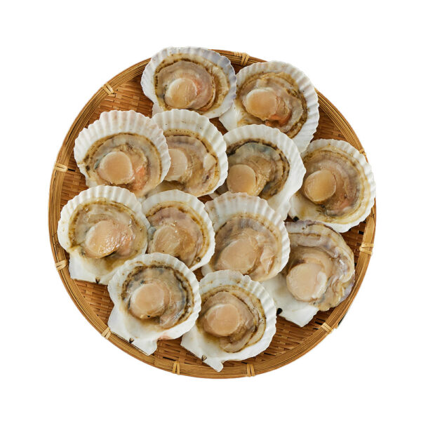 北海道産 帆立片貝 12枚