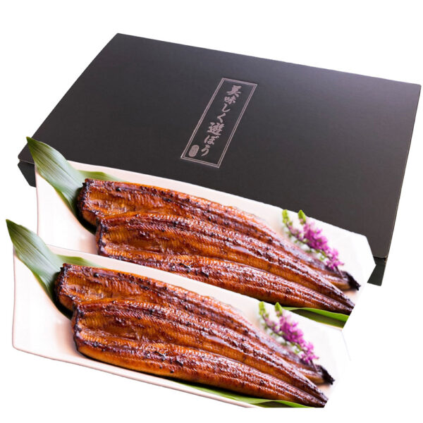 鰻楽 九州産 うなぎ蒲焼 4尾（計560g）
